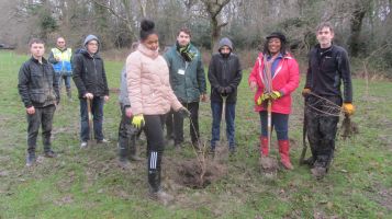 Tree planting 1